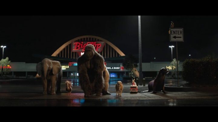 nids de poule Le Seul et Unique Ivan Extrait 1024x576 1