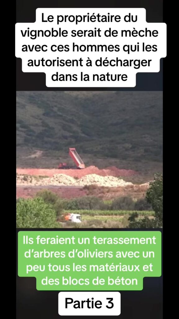decharge sauvage Quest ce que vous en pensez de cette dechzrgeimage 576x1024 1