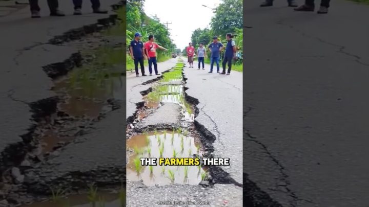 nids de poule Astuce pour creuser des nids de poule nids de 1024x576 1