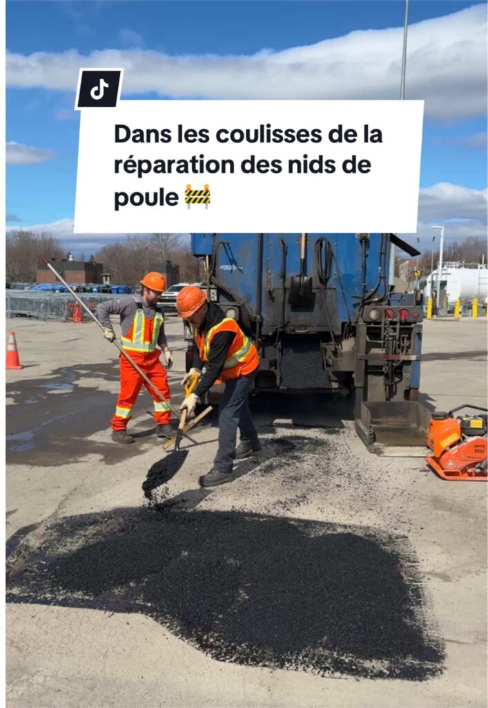 nids de poules Avec le retour du printemps ils refont 707x1024 1
